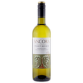 Bottle of Ancora Pinot Grigio wine on a white background